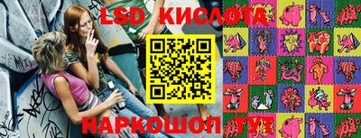 гидропоника Сланцы